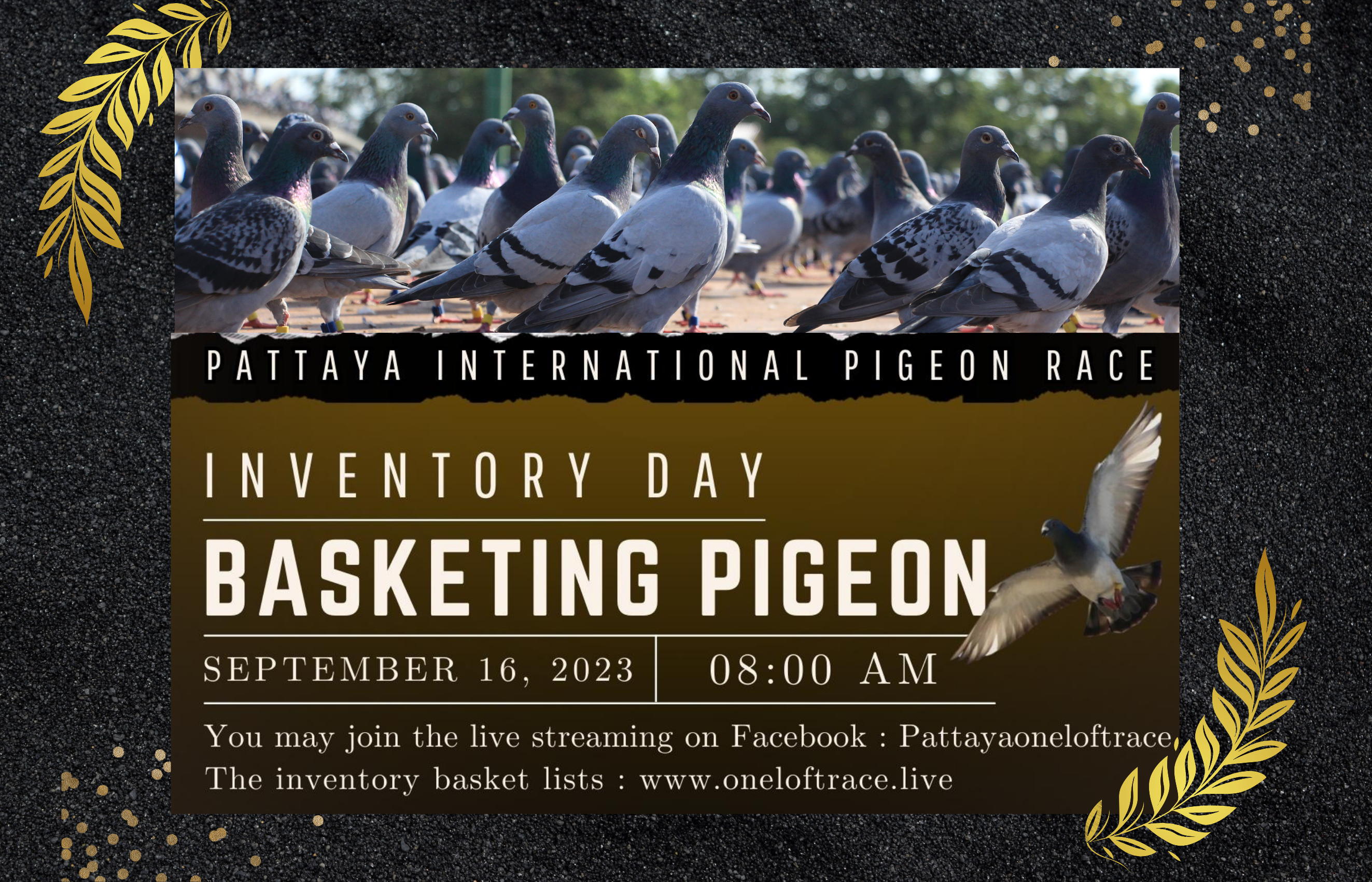 Basketing Pigeons Inventory Day
